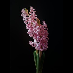 𝗧 𝗘 𝗫 𝗧 𝗨 𝗥 𝗘   𝗠𝗶𝘅 𝗦𝗲𝗿𝗶𝗲𝘀