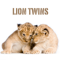 Lion Twins
