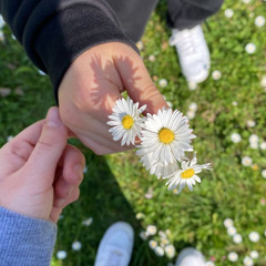 Ic Tenko ft Anhasor-Hairiimuu