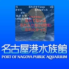 名古屋港水族館様々な生き物たちアスノヨゾラ哨戒班