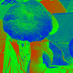 Outsiders: Huveshta Rituals w/ Kreshik @ Kiosk Radio 12.10.2025