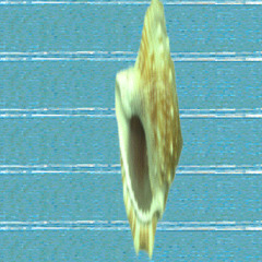 NEST_heartbeat