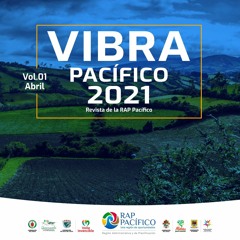 ¡Atrévete a vibrar por el Pacífico!