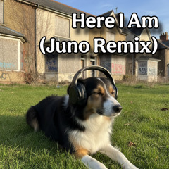 Here I am (Juno remix)