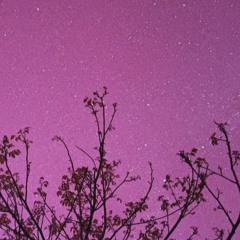 light up the sky