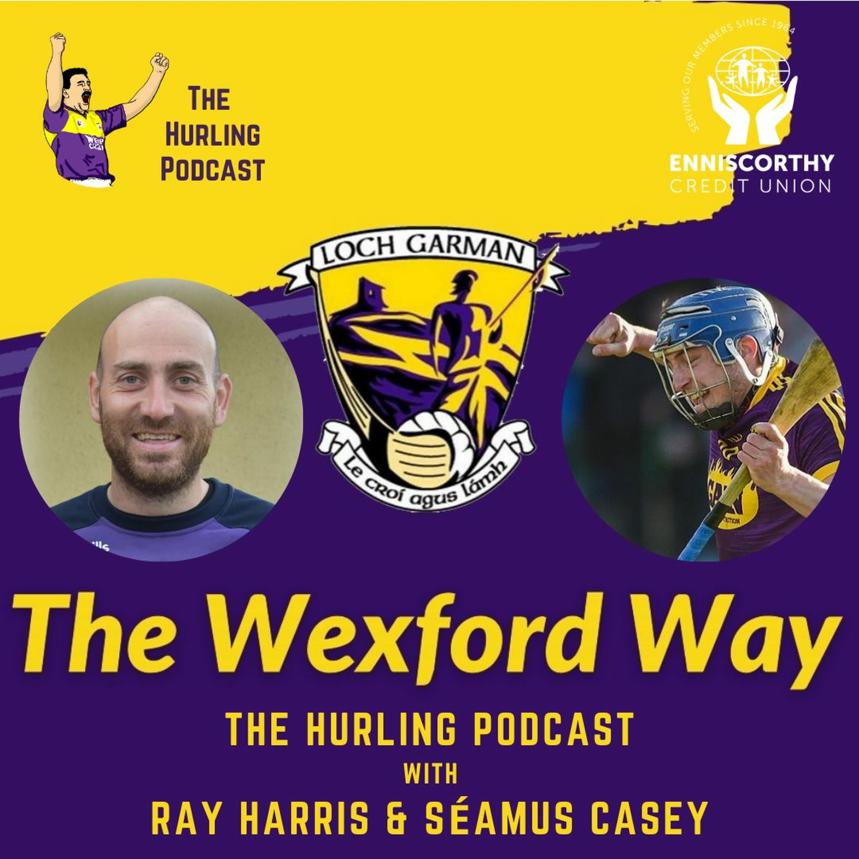 The Wexford Hurling Podcast