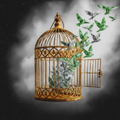 Freedom Ain’t Free