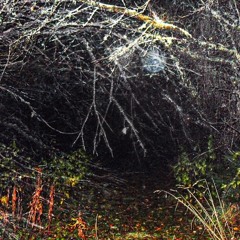 High (prod malice1xd)