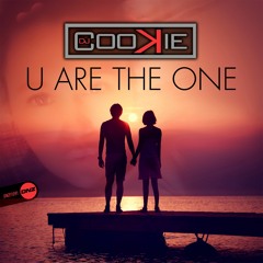 Dj Cookie - U are the one