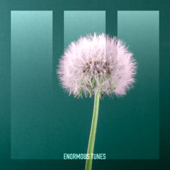 Helvetic Nerds - Tauba Tauba