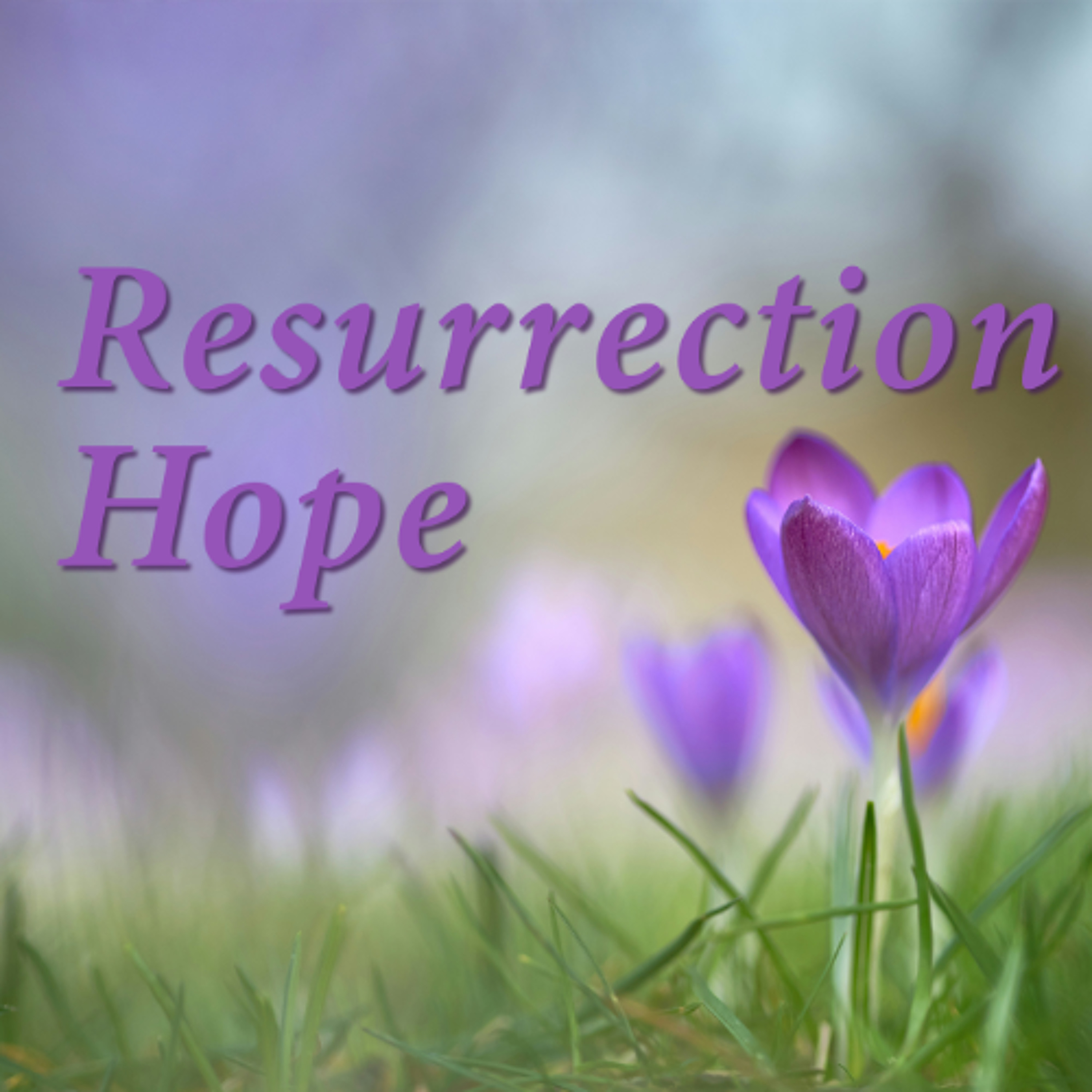 Resurrection Hope episode artwork