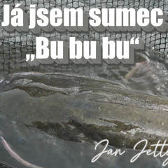 Já jsem sumec „Bu bu bu“ (Silurus glanis)