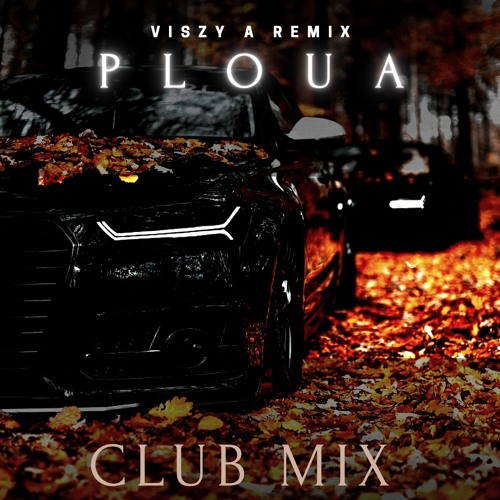 Ploua - Viszy A Remix (Mihaita Piticu)- Club Mix