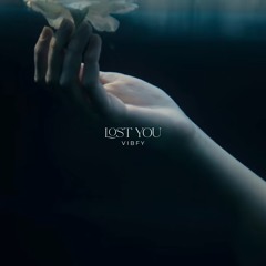 Vibfy - Lost You