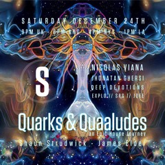 Nicolas Viana x Quarks & Quaaludes - Exclusive Mix