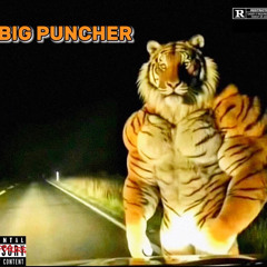 BigPuncher + M!D