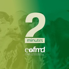 FMD Differential diagnosis - Tiziana Trogu