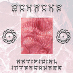 Cybernetic Seduction