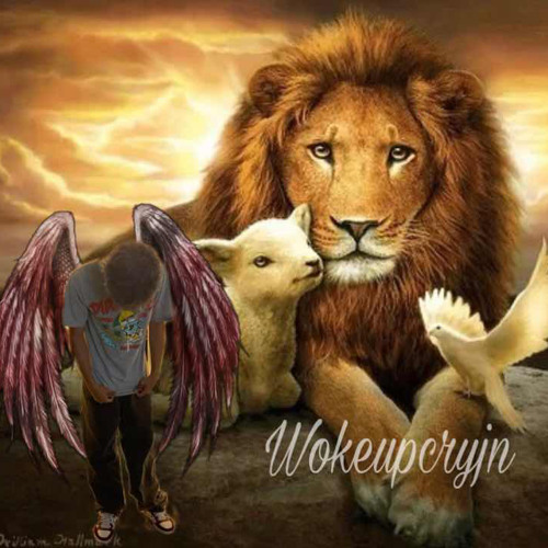 WokeUpTrippin p.Ketämiine