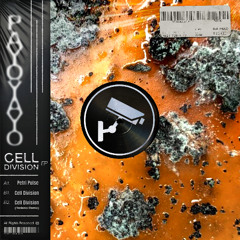 PETRI PULSE