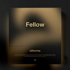 Fellow [PAM20]