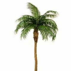 DjDino x Energybar Palmesus innsending