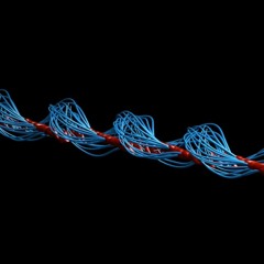 The Beautiful Spirals Of Sperm Cells On The Move