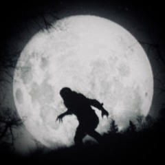 Creeping Through the Night