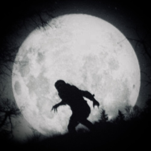 Creeping Through the Night