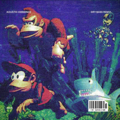 Dry Bass - Aquatic Ambience (DK)