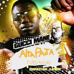 altapaja (puto micro)
