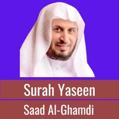 Saad Al - Ghamdi Sura  36  Ya Seen