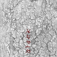 Epoché - Blank Radio