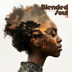 Blended Soul 13