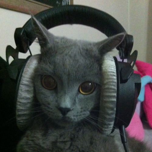 when you hear this song and throw your phone across the room