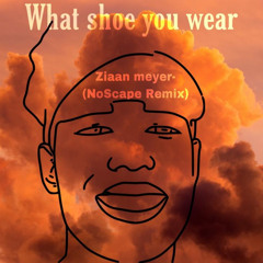 Ziaan Meyer - What Shoe You Wear (NoScape Remix)