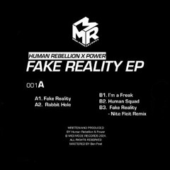PREMIERE: Human Rebellion x Power - Fake Reality (Midi Mode Records)