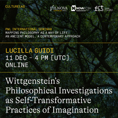 Wittgenstein’s 'Philosophical Investigations' as Self-Transformative Practices of Imagination (Lucilla Guidi)