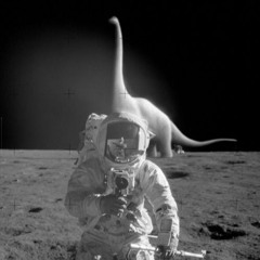 One Small Step For Man