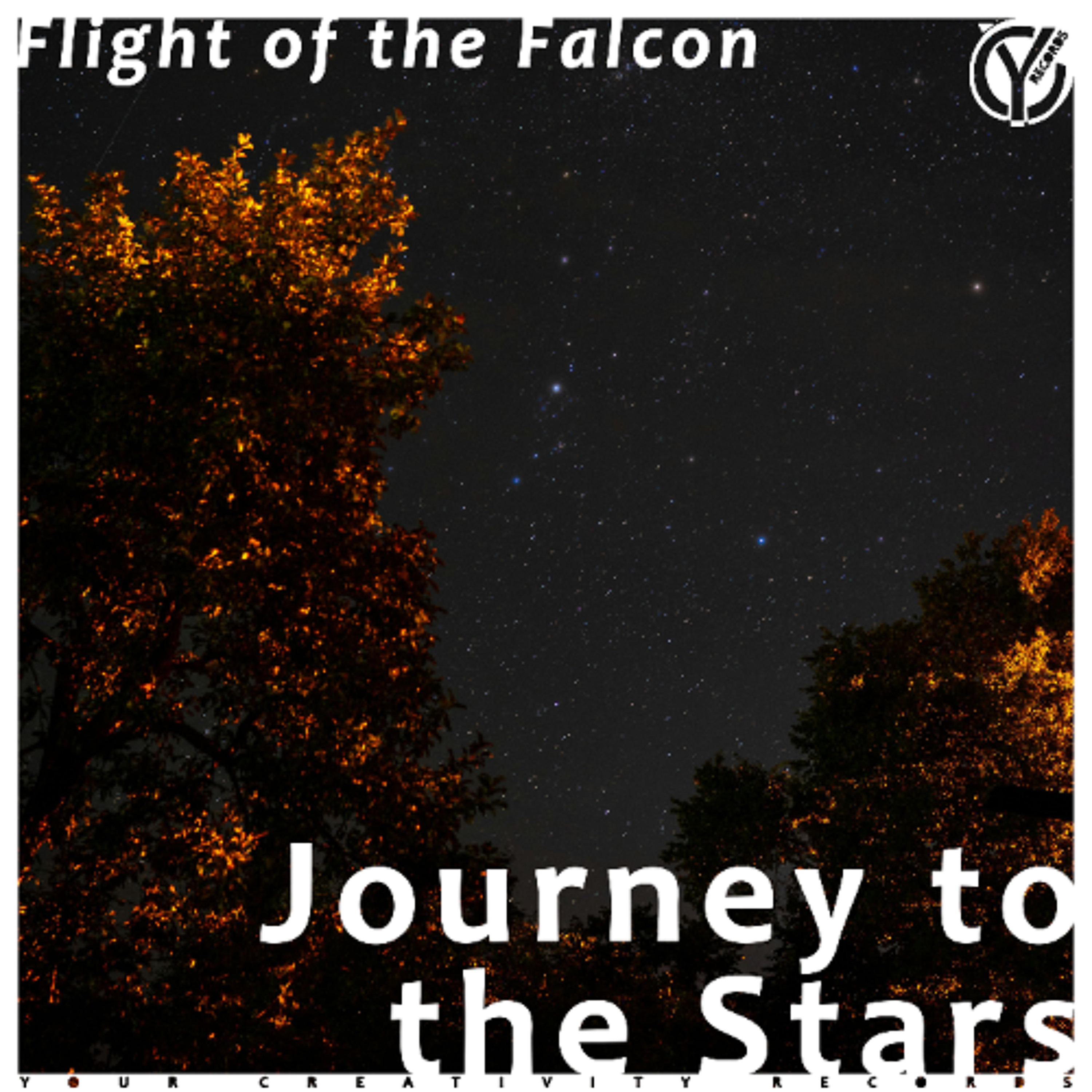 Flight of the Falcon - Journey to the Stars (Original Mix) episode artwork