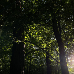 is it possible to ground on the hidden green? - maría