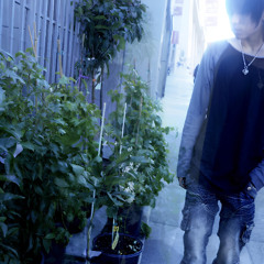 bonsai flow
