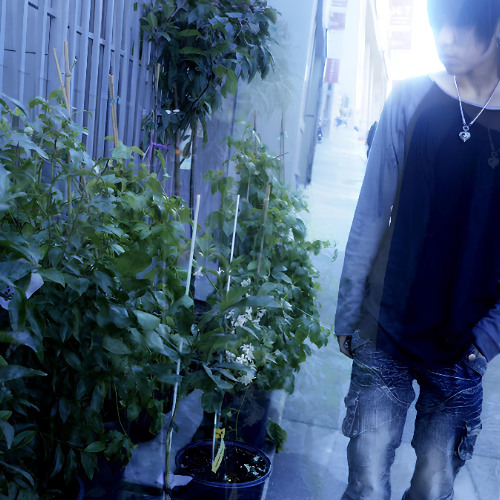 bonsai flow
