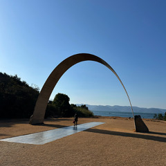 It is summer. Look up and live