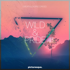 GreatAudioRecorded - Wild & Pride