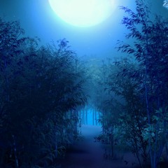 Touhou 8 - Retribution for the Eternal Night ~ Imperishable Night (Famitracker ver.)