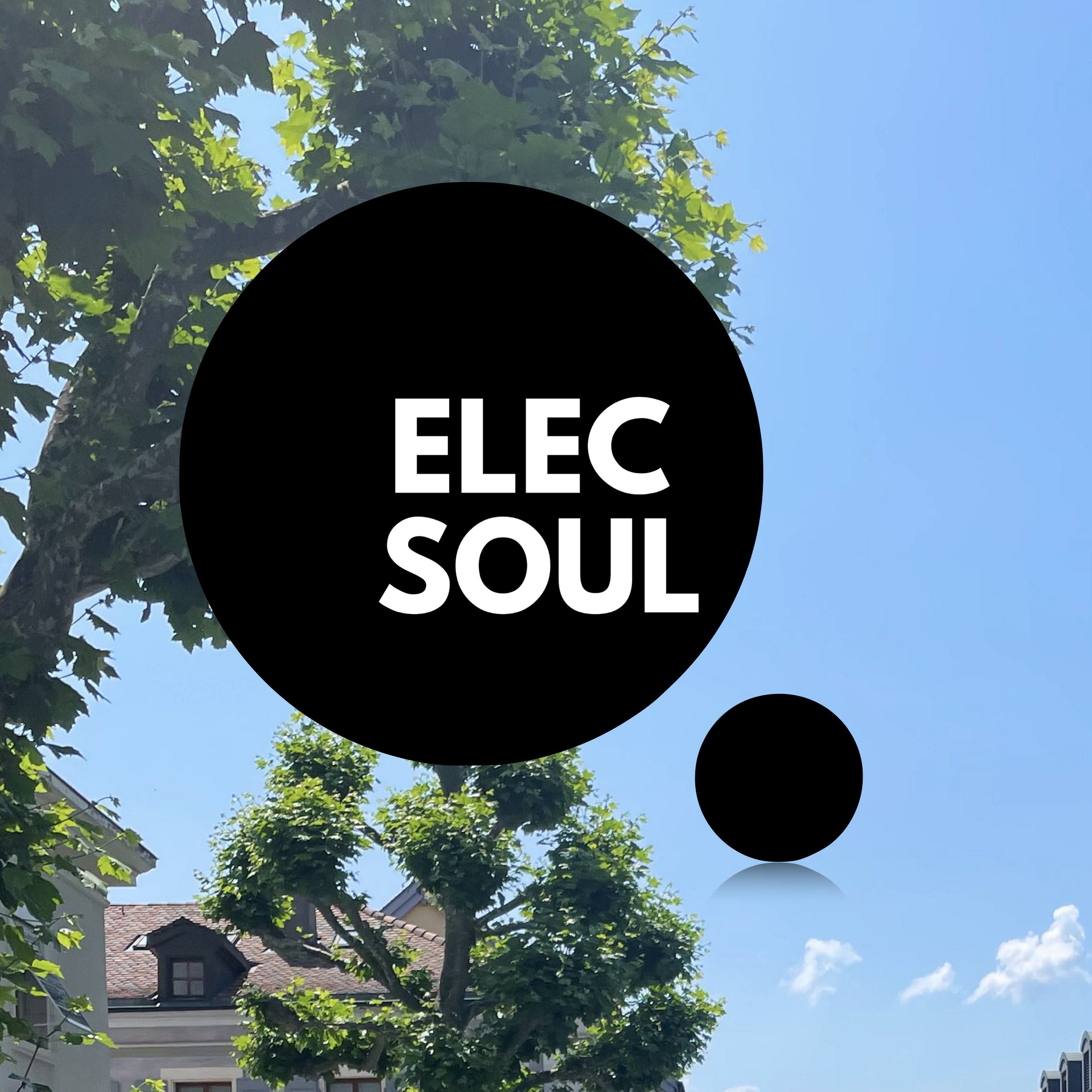 ElecSoul