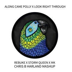Look Right Through X Along Came Polly (Chris B Harland Edit) - Rebuke, Storm Queen, MK