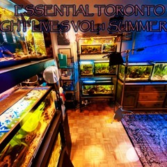 ESSENTIAL TORONTO NIGHT LIVES VOL.1 DEEP HOUSE VS NEW & CLASSIC PROGRESSIVE SUMMER 2023