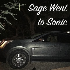 Sage Went To Sonic